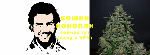 кристаллы Гусь-Хрустальный