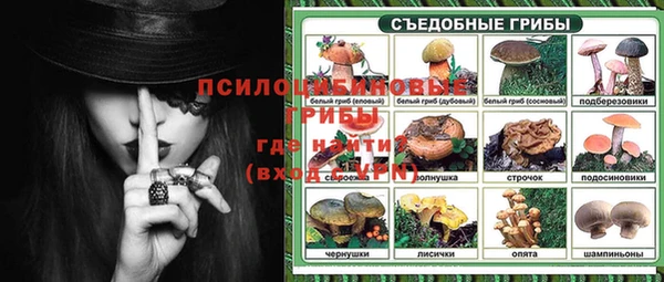 кристаллы Гусь-Хрустальный