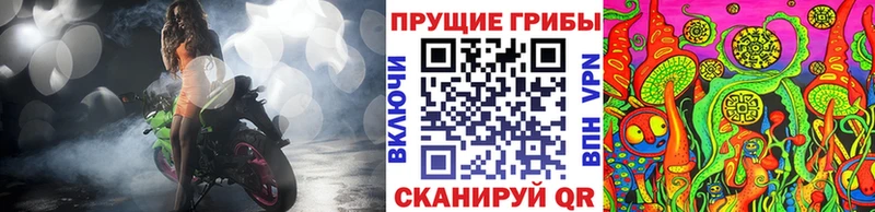 купить наркотики сайты  Нальчик  Псилоцибиновые грибы мицелий 
